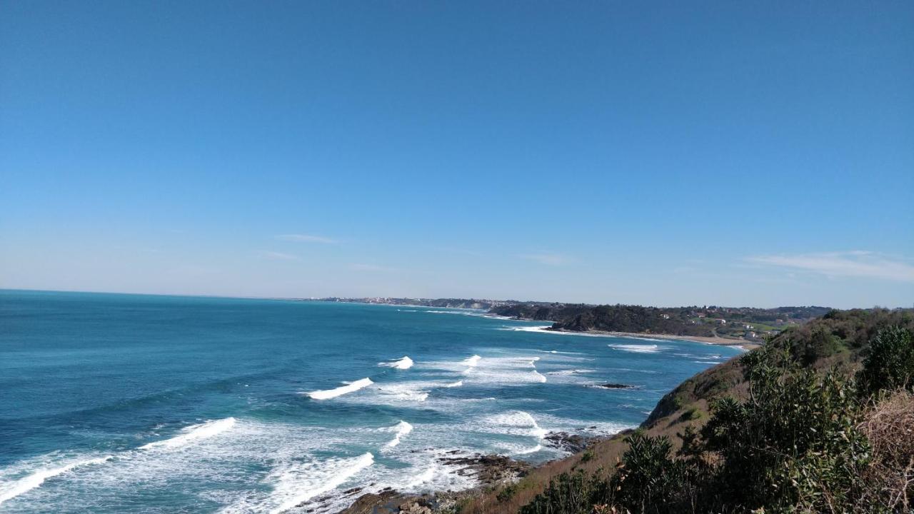T1 Ou T2 Dans Villa Avec Jardin Proche Biarritz アングレット エクステリア 写真
