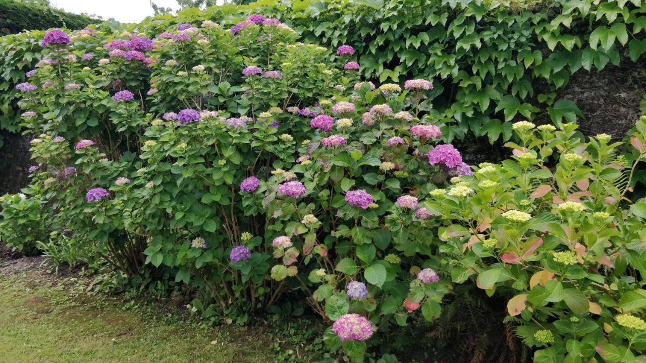 T1 Ou T2 Dans Villa Avec Jardin Proche Biarritz アングレット エクステリア 写真
