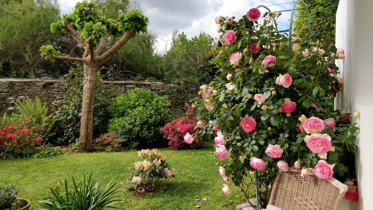T1 Ou T2 Dans Villa Avec Jardin Proche Biarritz アングレット エクステリア 写真