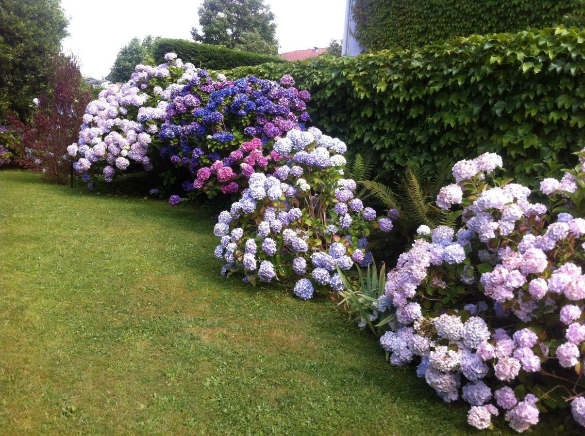 T1 Ou T2 Dans Villa Avec Jardin Proche Biarritz アングレット エクステリア 写真