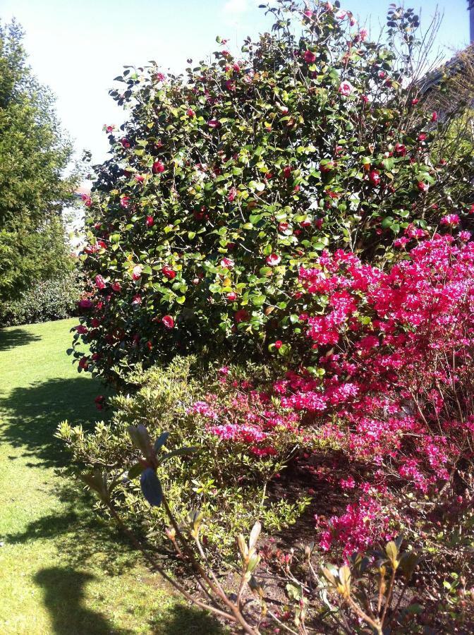 T1 Ou T2 Dans Villa Avec Jardin Proche Biarritz アングレット エクステリア 写真